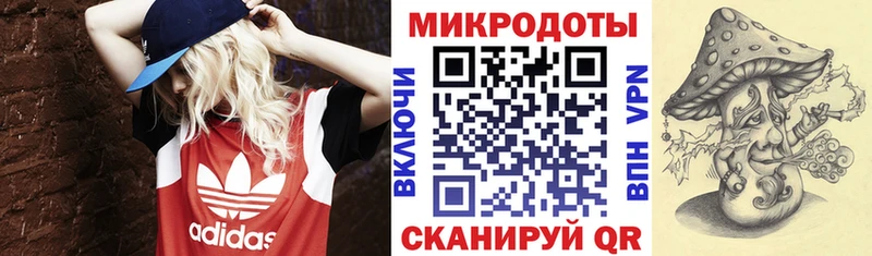 купить закладку  Алейск  блэк спрут маркетплейс  Псилоцибиновые грибы Magic Shrooms 